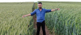 7 bin yıllık buğday Diyarbakır'da boy gösterdi, çiftçiler 'Buğday sorunu kalmayacak' dedi