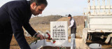 Aile ve Sosyal Hizmetler Bakanlığı, Elazığ'da kimsesizler mezarlığına gömülen engelli kızın mezar taşını yaptırdı