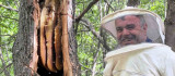 Bingöl'de 'Bal avcıları' arı takibi yaparak doğal bala ulaşıyor