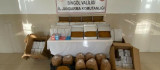 Bingöl'de 151 kilo kaçak tütün ele geçirildi