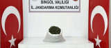 Bingöl'de araziye gömülü 12 kilo 550 gram esrar ele geçirildi