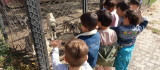 Bingöl'de çocuklar hayvan barınağını ziyaret etti