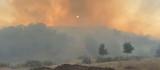 Bingöl'de iki köyde çıkan orman yangını söndürüldü