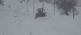 Bingöl'de kar 139 köy yolunu ulaşıma kapattı
