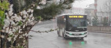 Bingöl'de kuvvetli sağanak yağış etkili oldu