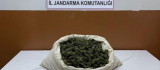 Bingöl'de narkoterör operasyonu: 32 bin kök kenevir ele geçirildi