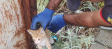 Bingöl'de tellere sıkışan yavru kediyi itfaiye kurtardı