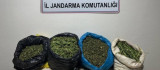 Bingöl'de uyuşturucu operasyonu: 6 gözaltı
