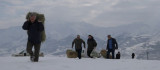 Bingöl'de yaban hayvanları için karla kaplı dağlara yem bırakıldı