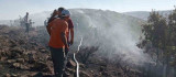 Bingöl'deki orman yangını kontrol altına alındı