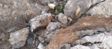Deprem sonrası dağdan kopan dev kaya parçaları tehlike saçıyor