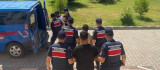 Diyarbakır'da büyükbaş hayvan çalan 2 kişi tutuklandı