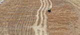 Diyarbakır'da devlet desteğiyle tarımsal üretimde artış devam ediyor