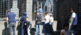Diyarbakır'da öğrenciler YKS öncesi türbe ve camilerde dua etti