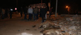 Diyarbakır'da otomobil sürüye çarptı: 4 koyun telef oldu