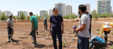 Diyarbakır'da tıbbi aromatik bitkiler bahçesi kuruluyor