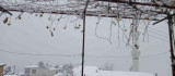 Diyarbakır'da yılın ilk karı her yeri beyaza bürüdü