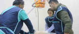 Diyarbakır'daki hayvan hastanesi, bölgede yabani ve evcil hayvanlara sağlık üssü oldu