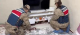 Diyarbakır İl Jandarma Komutanlığından Türkiye geneli operasyon