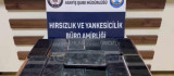 Diyarbakır Nevruz'unda 22 cep telefonu çalan 5 kişi tutuklandı