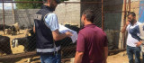 Diyarbakır polisinden kurban satıcılarına 'sahte para' uyarısı