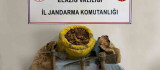Elazığ'da 30 kilogram salep bitkisi ele geçirildi