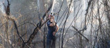 Elazığ'da ağaçlık alandaki yangın söndürüldü