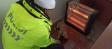 Polis kulübesine alınan köpek, elektrikli ısıtıcı ile ısındı