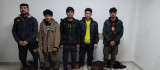 Elazığ'da düzensiz göçmenler  yakalandı