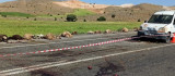 Elazığ'da hafif ticari araç sürüye çarptı, 16 koyun telef oldu