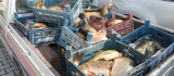 Elazığ'da ilk 6 ayda, 10 ton kaçak balık ele geçirildi