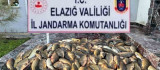 Elazığ'da kaçak balık avı yapan 3 şahsa, 49 bin lira ceza