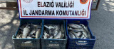 Elazığ'da kaçak balık avı yapan şüpheli yakalandı