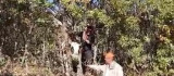 Elazığ'da kafası ağaca sıkışan inek kurtarıldı