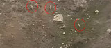Elazığ'da kurt sürüsü görüntülendi