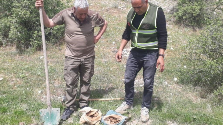 Elazığ'da salep soğanı toplayan 8 kişiye 3 milyon 100 bin lira ceza