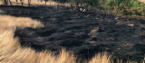 Elazığ'daki bahçe yangınında 10 dönüm alan zarar gördü