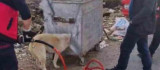 Kafası çöp konteynerine sıkışan köpek kurtarıldı