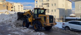 Karlıova'da karlar kamyonlarla ilçe dışına taşınıyor