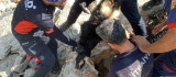 Kayaların arasına sıkışan keçiyi AFAD ve itfaiye ekibi kurtardı