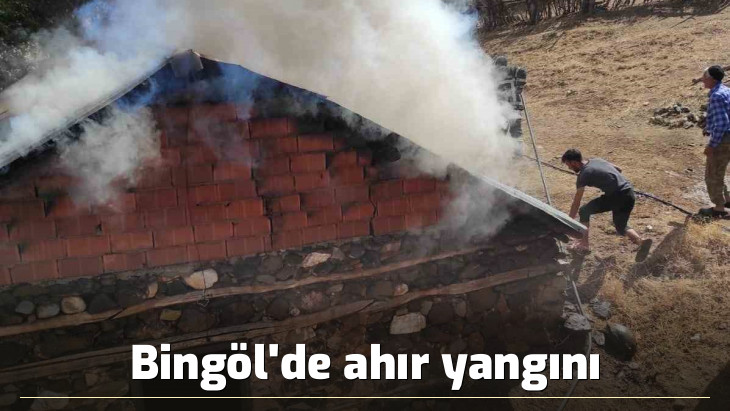 Bingöl'de ahır yangını