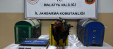 Malatya'da horoz dövüştürenlere ceza yağdı