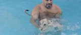 Sıcaktan bunalan aslanlar havuzda ve hortumla serinletiliyor