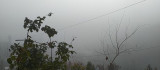 Silvan'da yoğun sis, görüş mesafesini 20 metrenin altına düşürdü