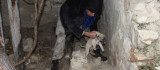 Toprak altında mahsur kalan yavru köpekleri belediye ekipleri kurtardı