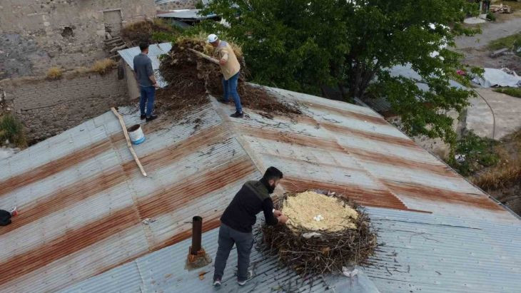 Tunceli'de örnek davranış: Hasarlı binaların çatılarındaki leylek yuvaları güvenli yere taşındı